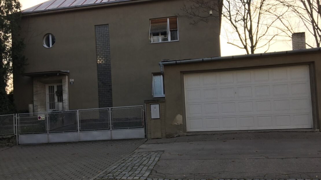 video image